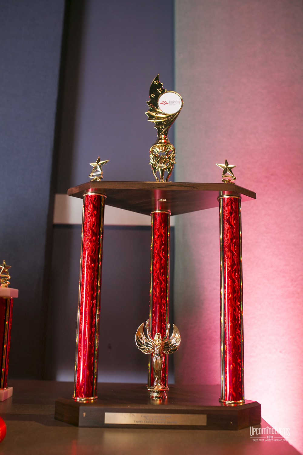 Cupid's Undie Run 2018 (Gallery 2)