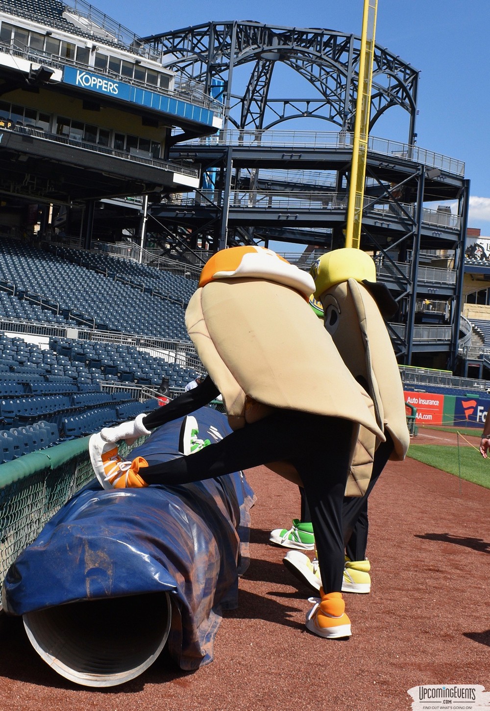 Pittsburgh All Star Festival 2018 - Gallery 3