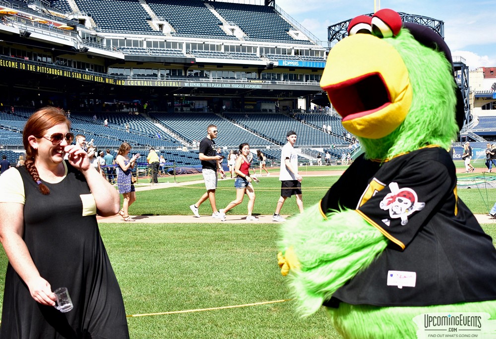 Pittsburgh All Star Festival 2018 - Gallery 3