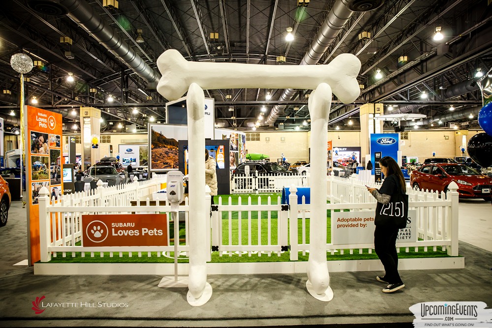 Black Tie Tailgate 2019 (Car Shots)