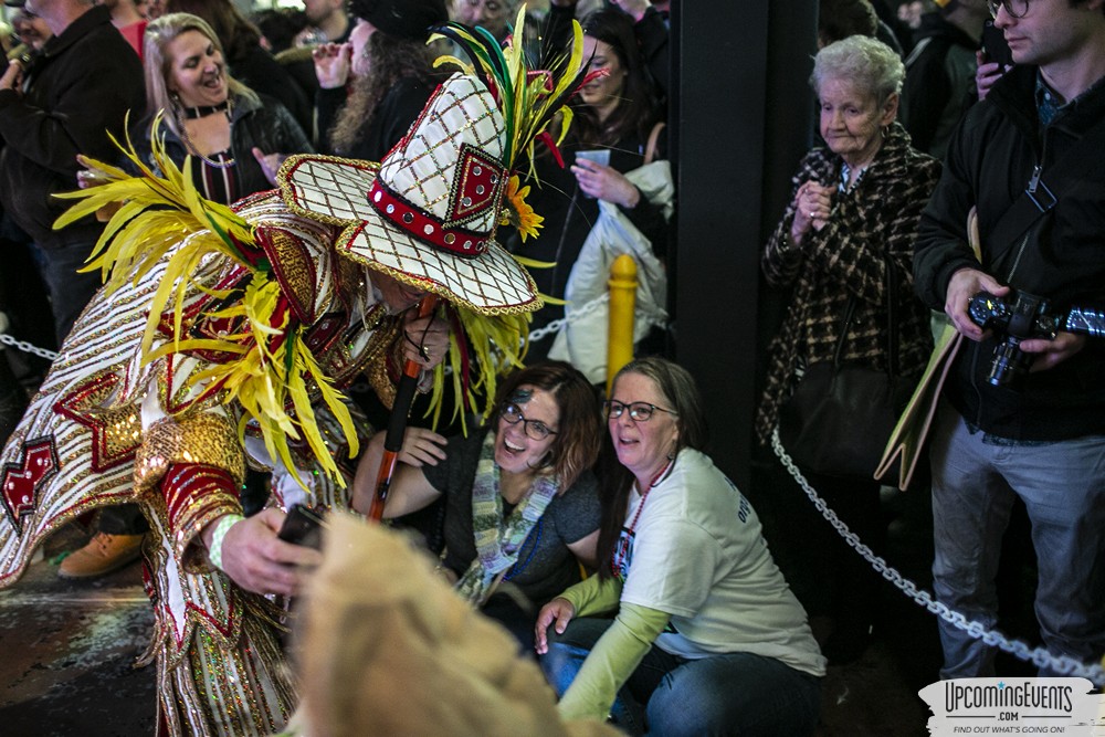 Mummers Mardi Gras Festival (Candid Gallery 2)