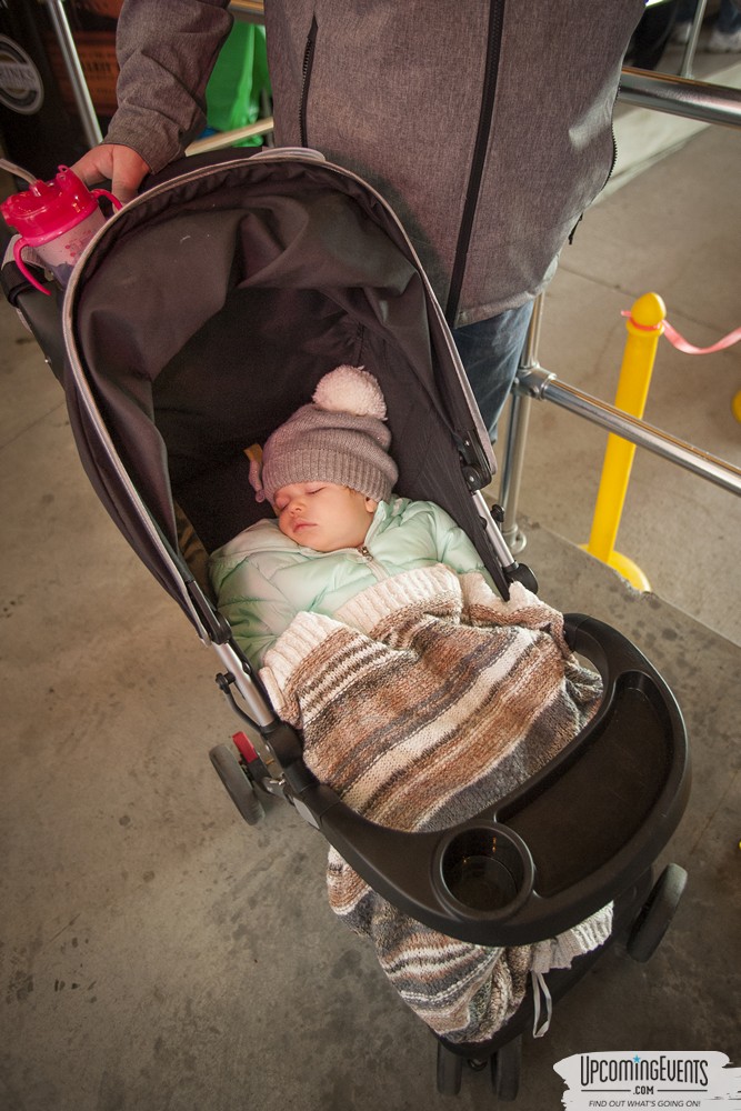 Mummers Mardi Gras Festival (Candid Gallery 1)