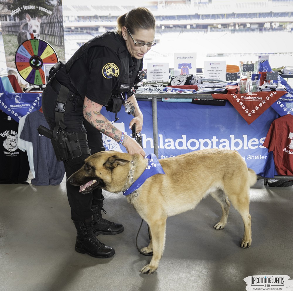 Philly All Star Festival 2019 - Gallery 1