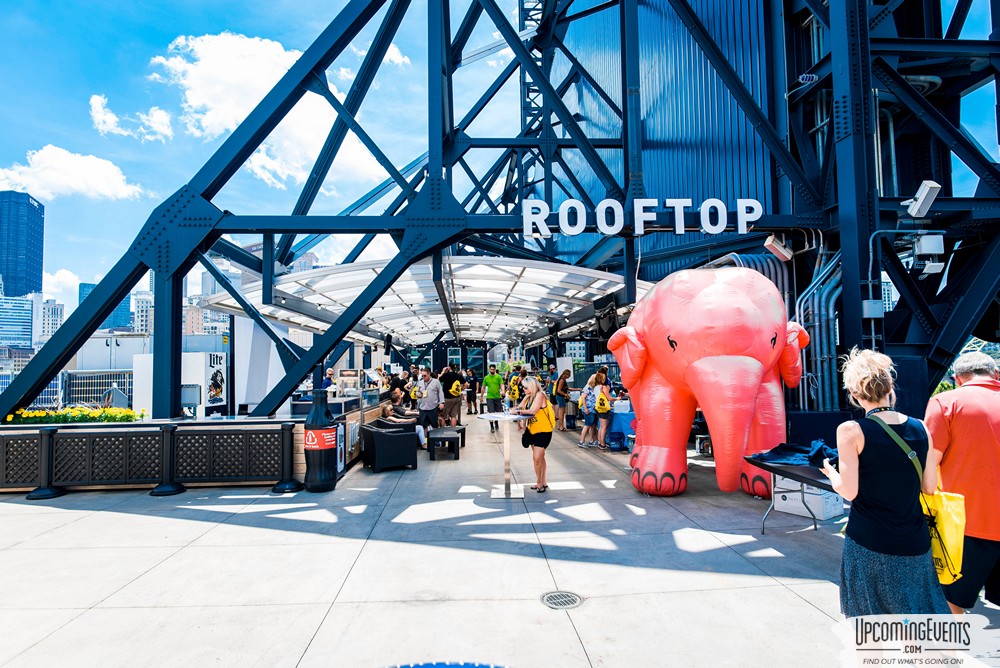 Pittsburgh All Star Festival 2019 - Gallery 1