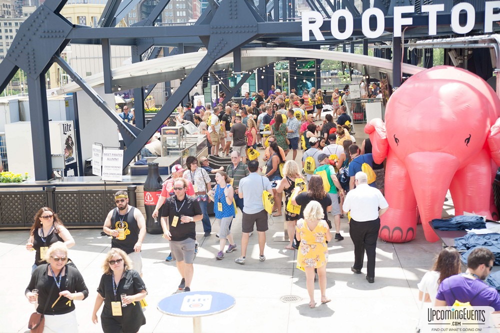 Pittsburgh All Star Festival 2019 - Gallery 2