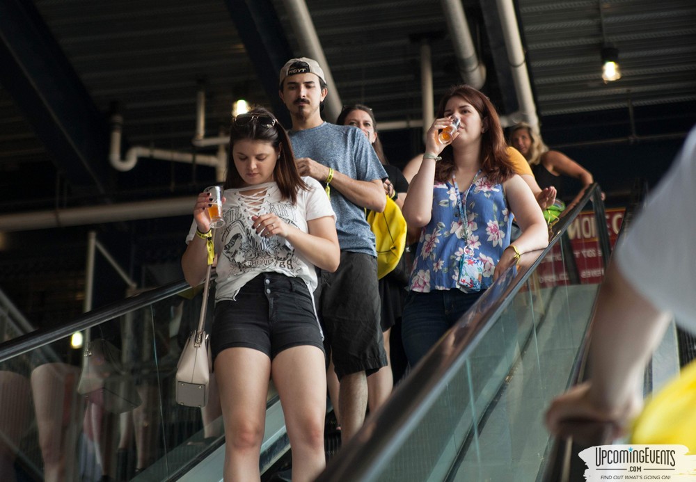 Pittsburgh All Star Festival 2019 - Gallery 2