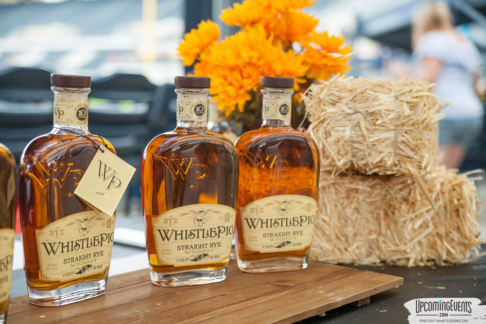 Pittsburgh All Star Festival 2019 - Gallery 2