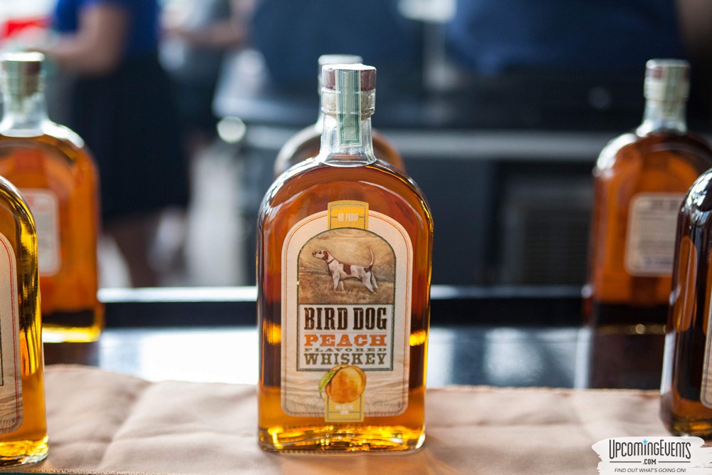 Pittsburgh All Star Festival 2019 - Gallery 2