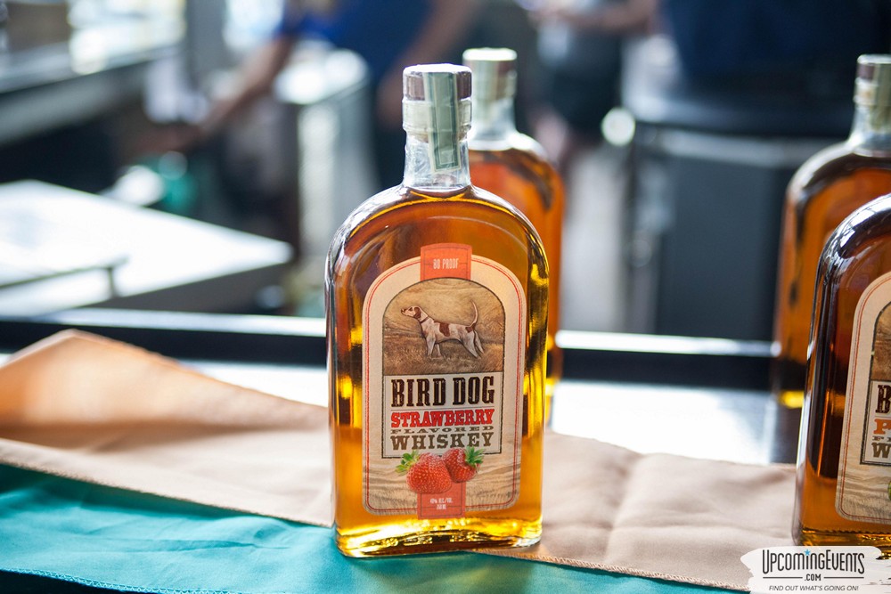 Pittsburgh All Star Festival 2019 - Gallery 2