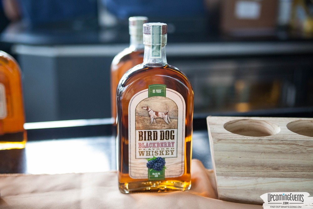 Pittsburgh All Star Festival 2019 - Gallery 2