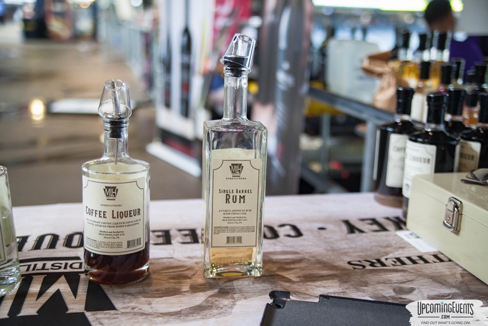 Pittsburgh All Star Festival 2019 - Gallery 2