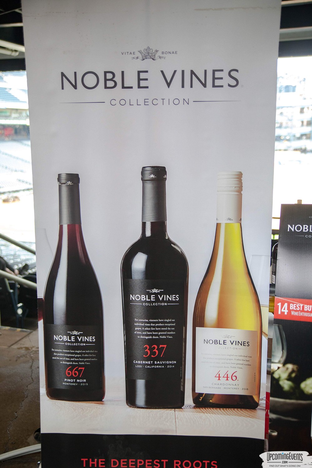 Pittsburgh All Star Festival 2019 - Gallery 2