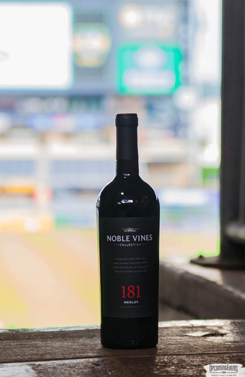 Pittsburgh All Star Festival 2019 - Gallery 2