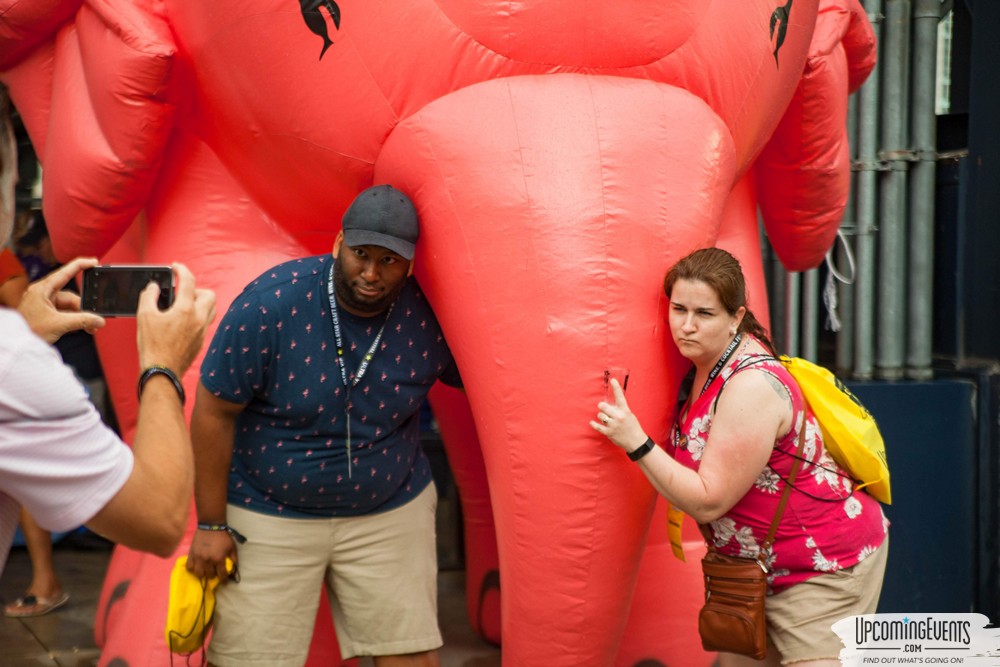 Pittsburgh All Star Festival 2019 - Gallery 2