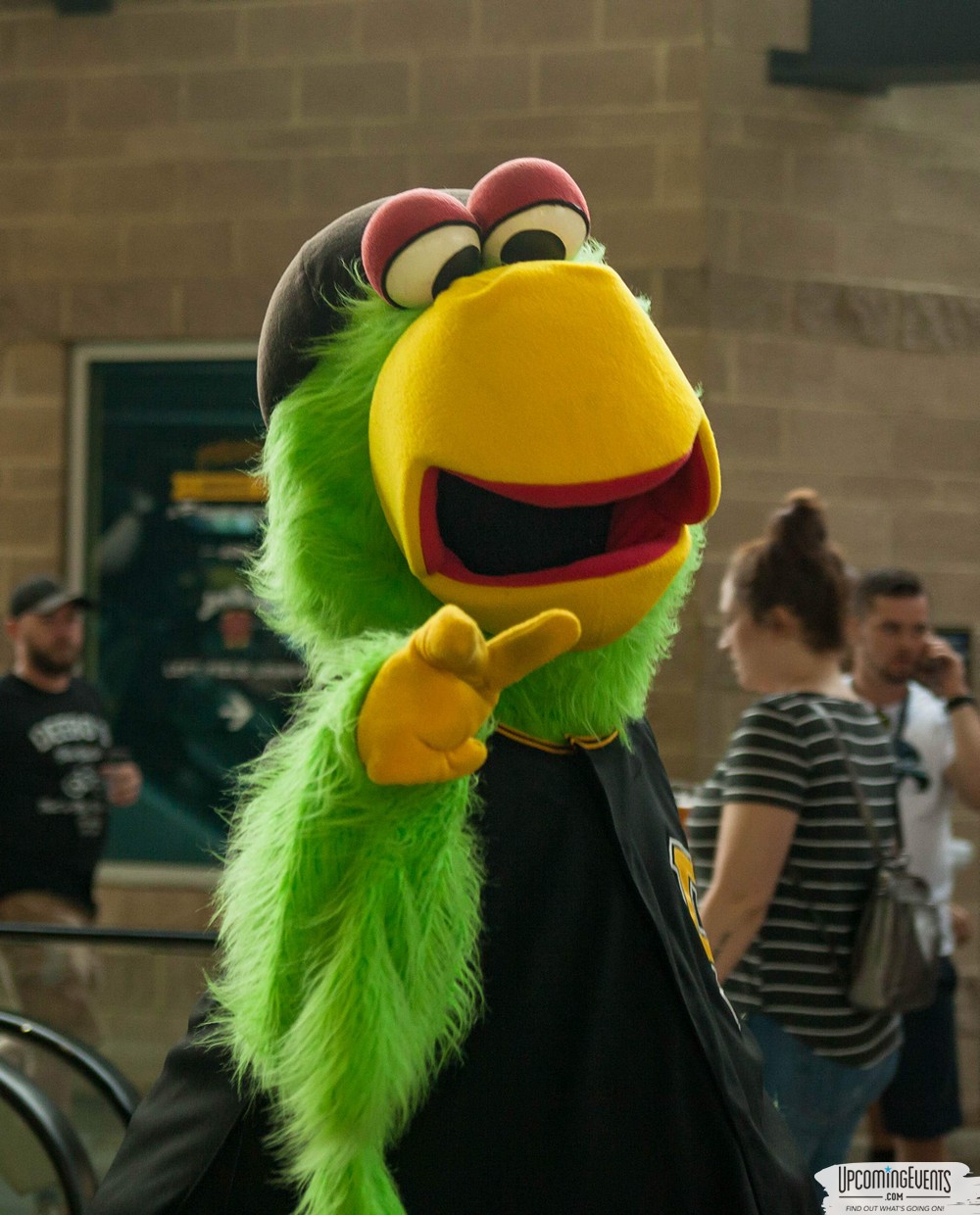 Pittsburgh All Star Festival 2019 - Gallery 2