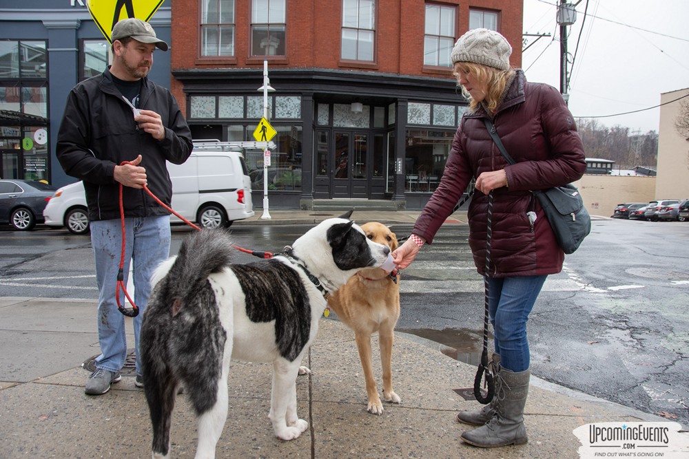 Manayunk Chowder Crawl