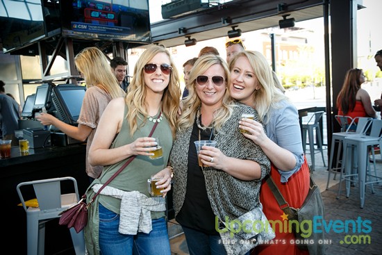 Springfest Live! 2016 (Gallery A)