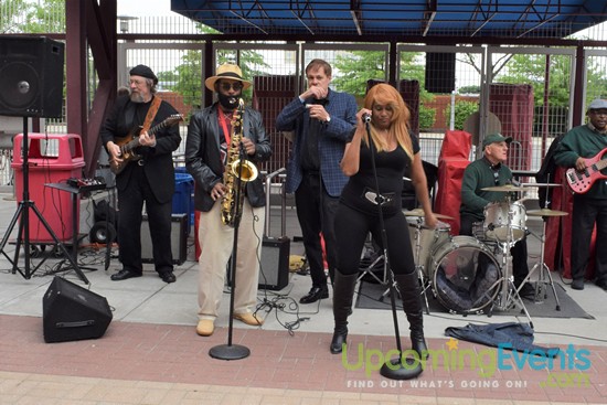 All Star Craft Beer & Wine Festival - Gallery 3