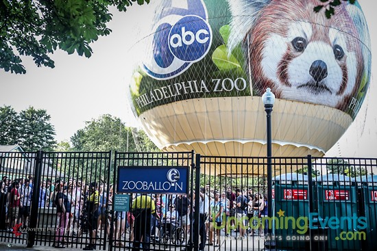 Summer Ale Festival at The Zoo!
