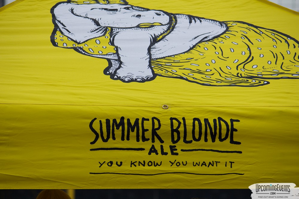 Philly All Star Festival 2018 - Gallery 2