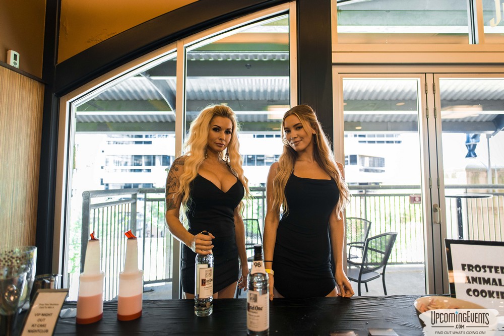 Pittsburgh All Star Festival 2018 - Gallery 5