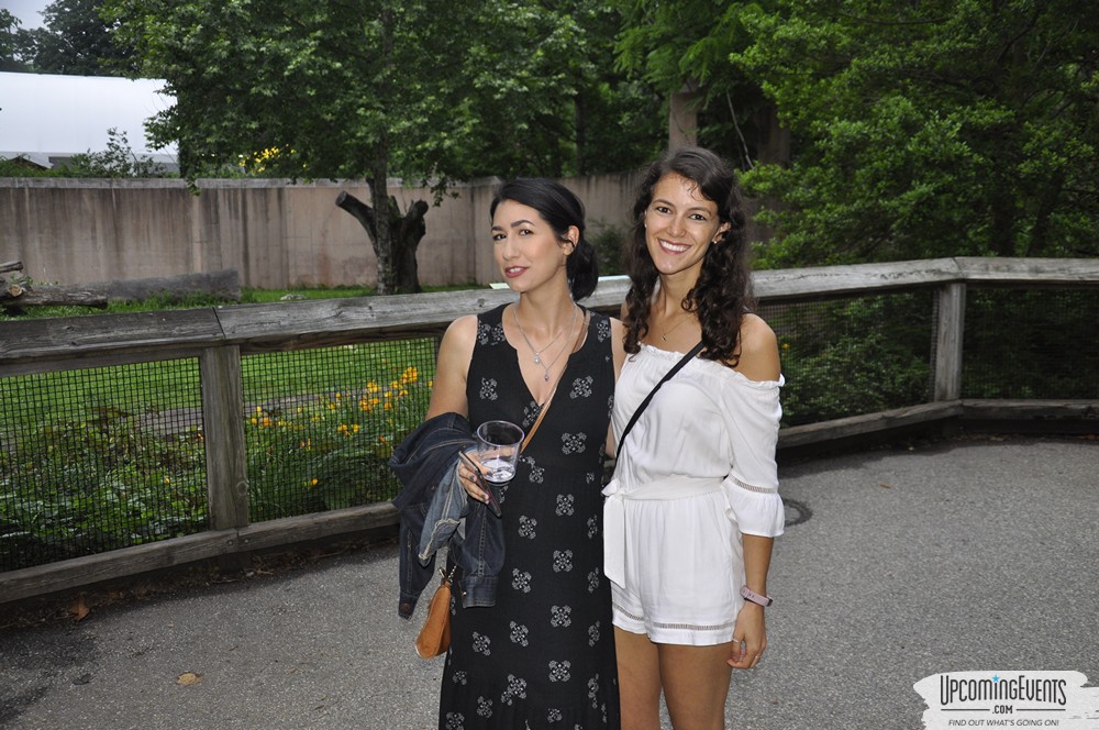 Summer Ale Festival at The Phladelphia Zoo