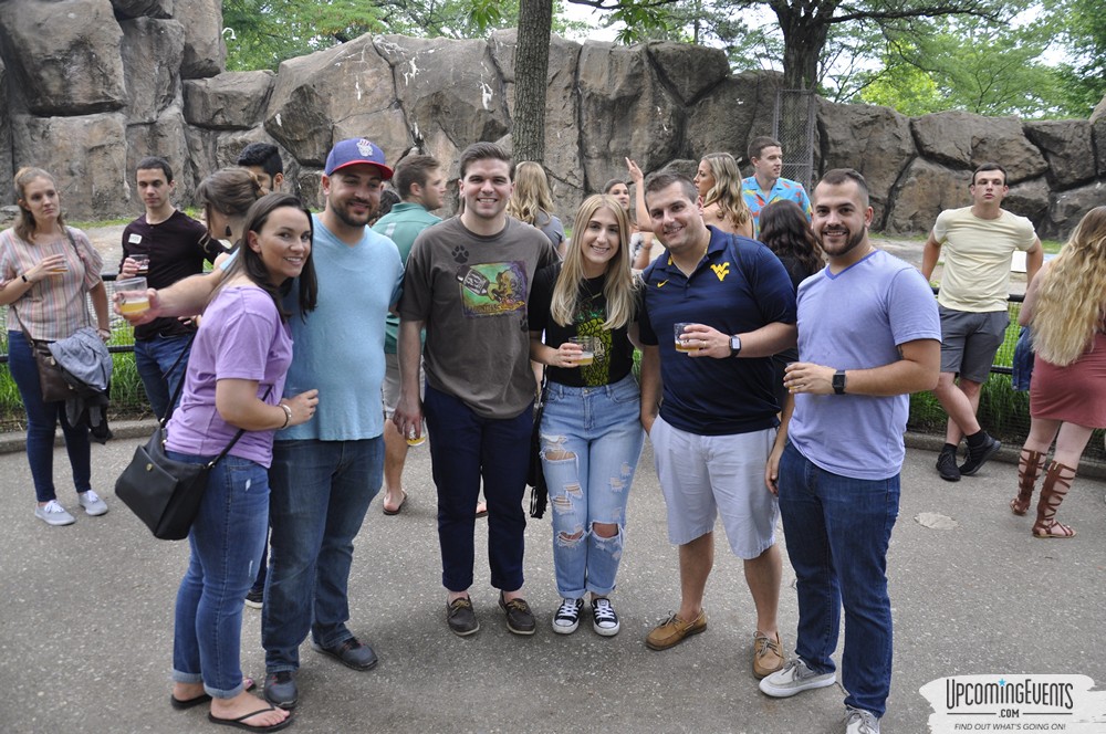Summer Ale Festival at The Phladelphia Zoo