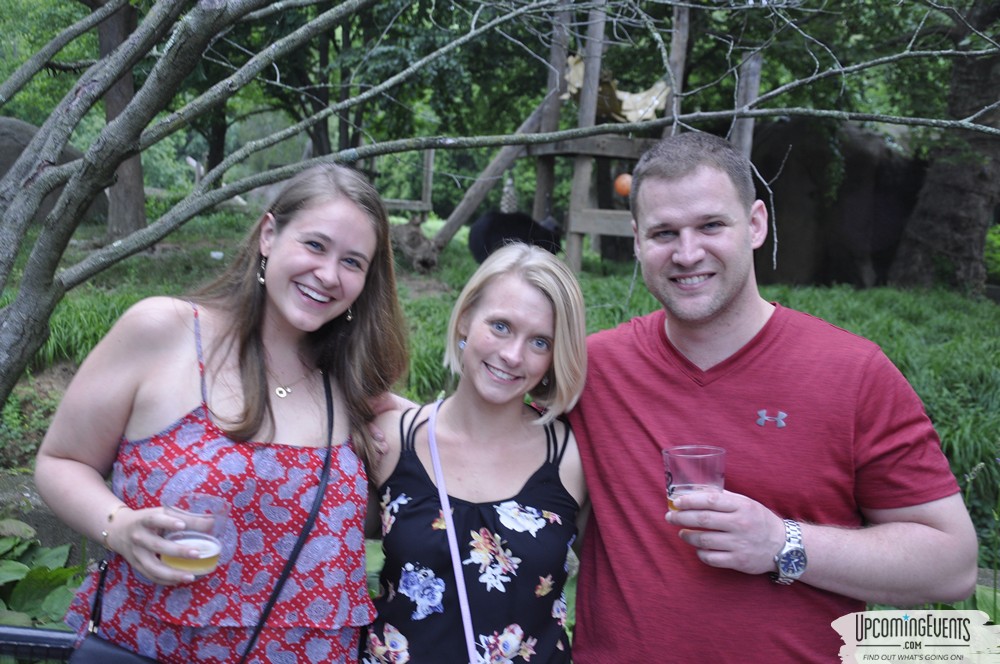 Summer Ale Festival at The Phladelphia Zoo
