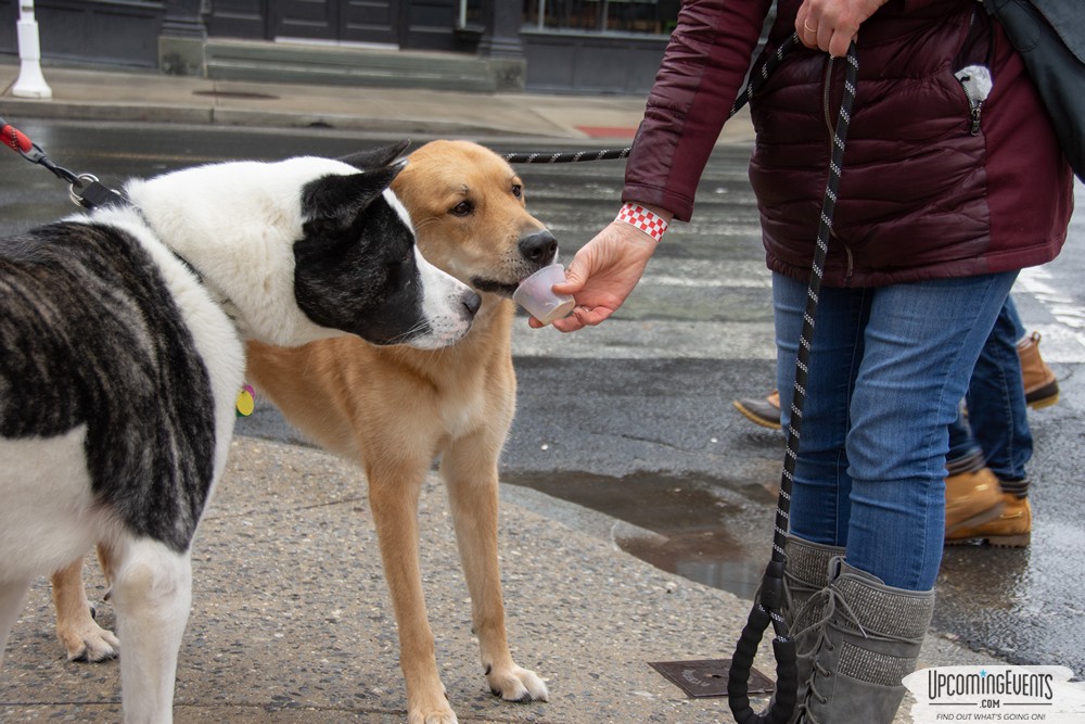 Manayunk Chowder Crawl