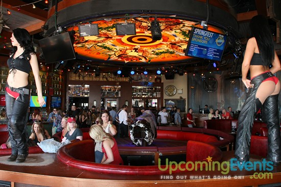 Springfest Live! Craft Beer Fest (Gallery B)