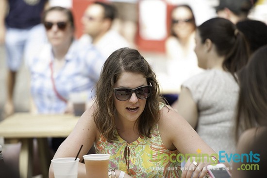 Spring Fest 2015 @ The Ugly Moose