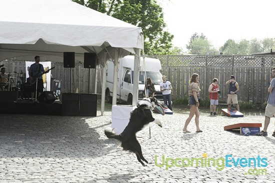 Spring Fest 2015 @ The Ugly Moose