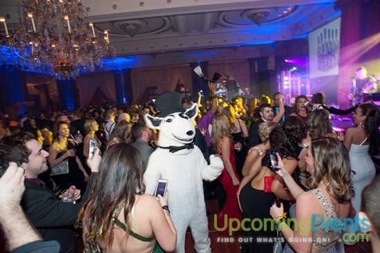 Hair O' The Dog 2016 (Gallery 2)