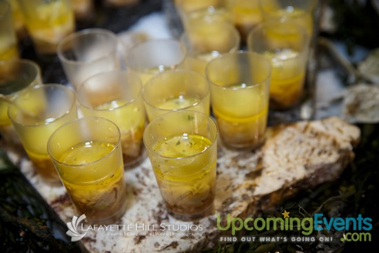 Black Tie Tailgate 2016 - Candid Event Photos