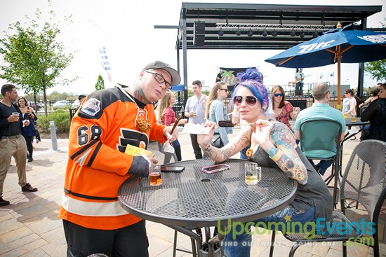 Springfest Live! 2016 (Gallery A)