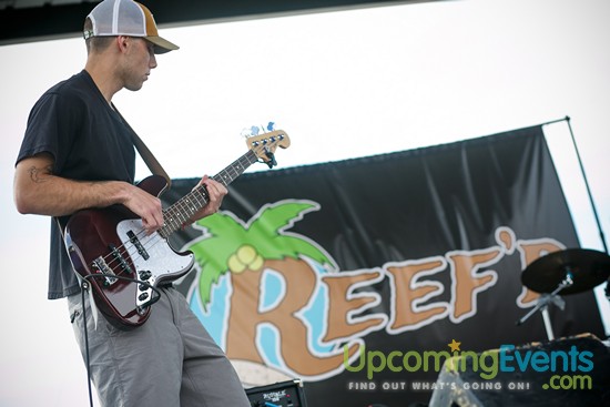 Springfest Live! 2016 (Gallery A)