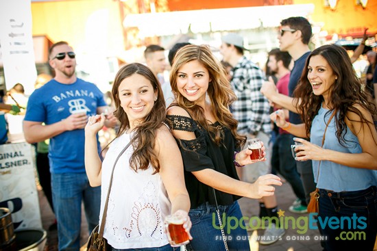 Springfest Live! 2016 (Gallery A)