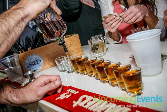 Springfest Live! 2016 (Gallery A)