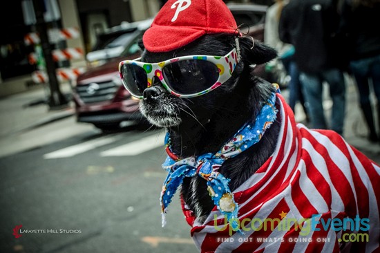 Midtown Festival 2016