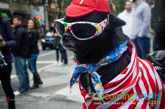 Midtown Festival 2016