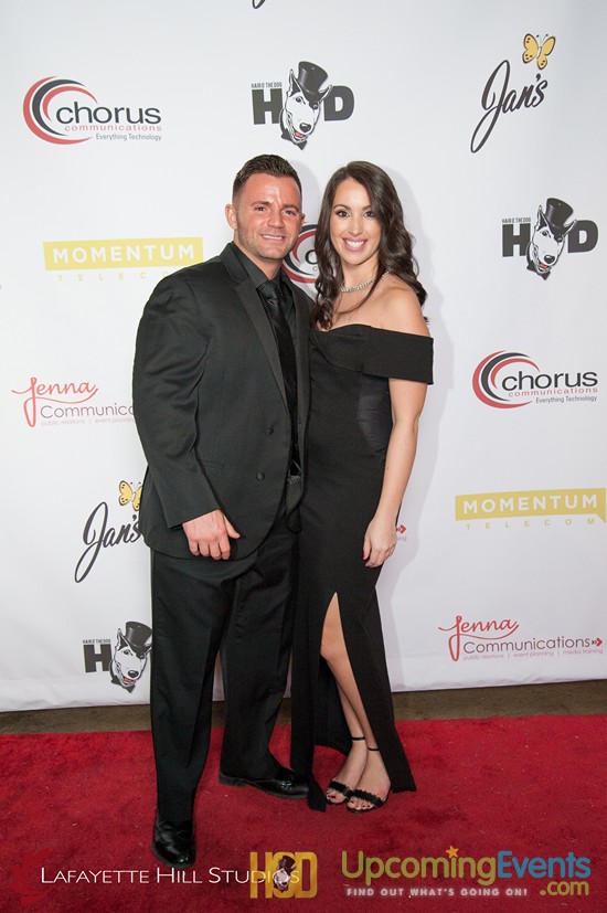 Hair O' The Dog 2017 (Red Carpet)