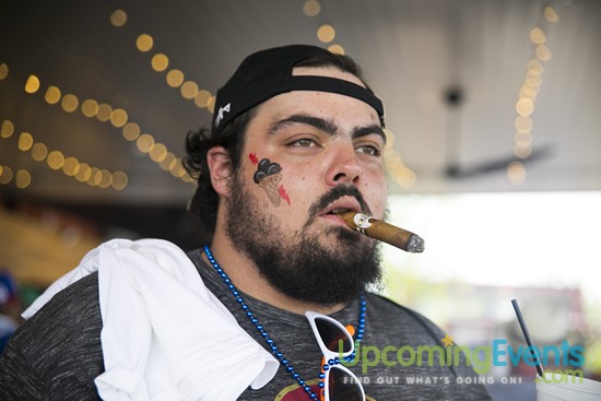 Springfest Live! 2017 - Gallery 1