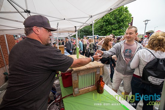 All Star Craft Beer & Wine Festival - Gallery 6