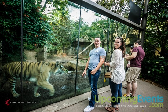 Summer Ale Festival at The Zoo!