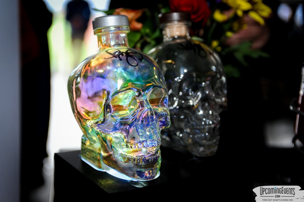 Philly All Star Festival 2018 - Gallery 3