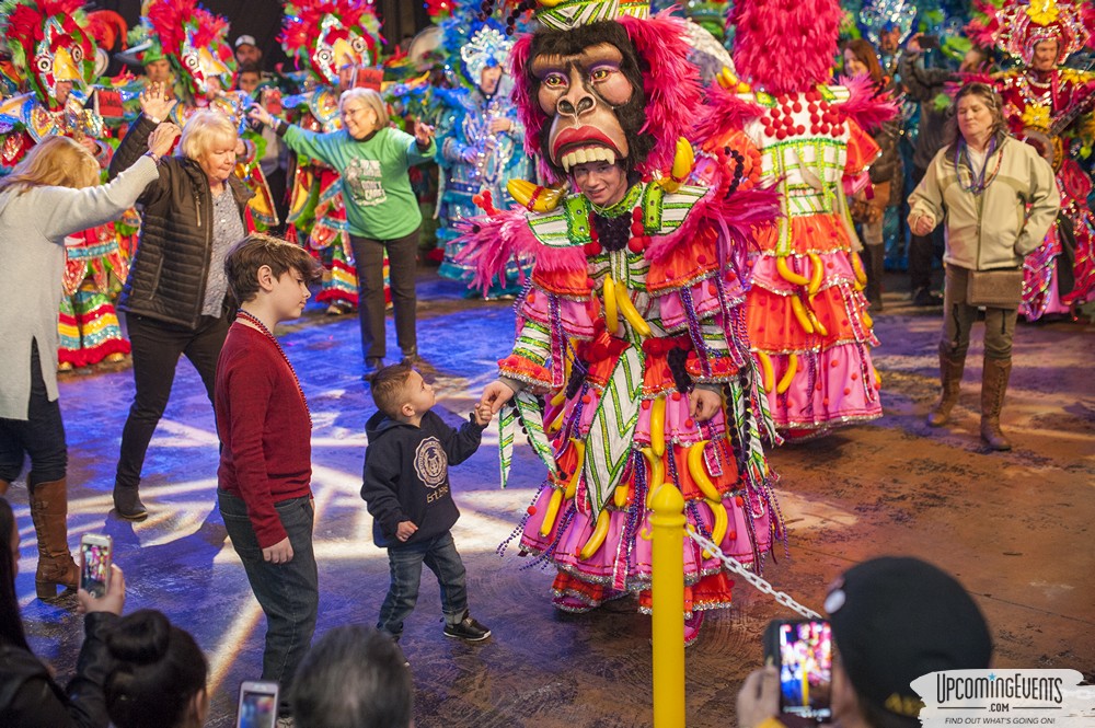 Mummers Mardi Gras Festival (Candid Gallery 1)