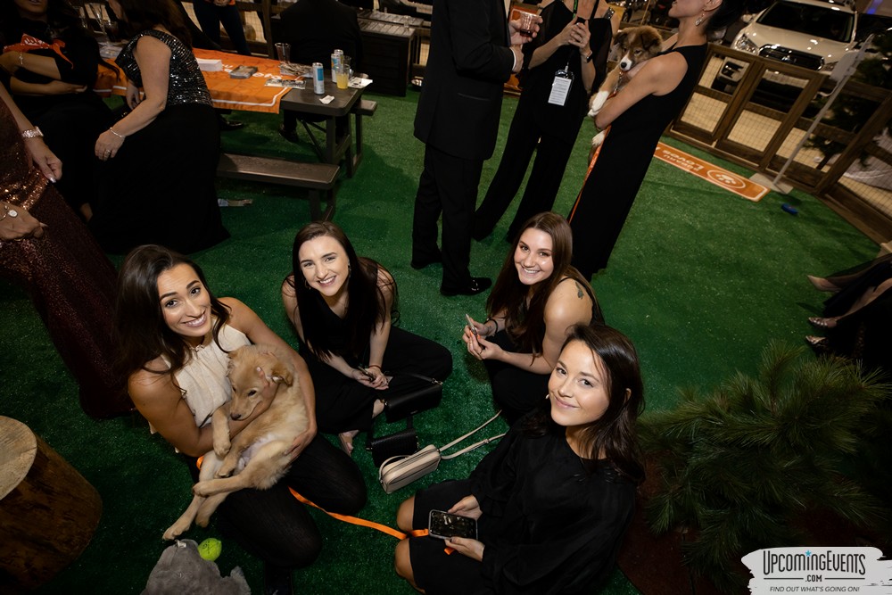Black Tie Tailgate 2020 (General Event Shots)