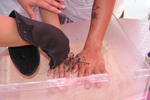 City Chase Philadelphia 2010 - The Race