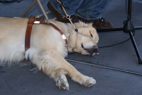 McFadden's EAGLES Away Game - Week 2 (Plus Phillies!)