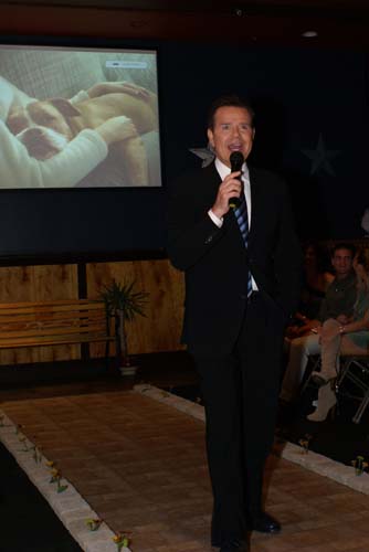 Fashion in Public (Gallery 1)